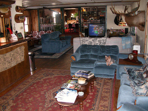 Colonial Inn Pine Hill Екстериор снимка